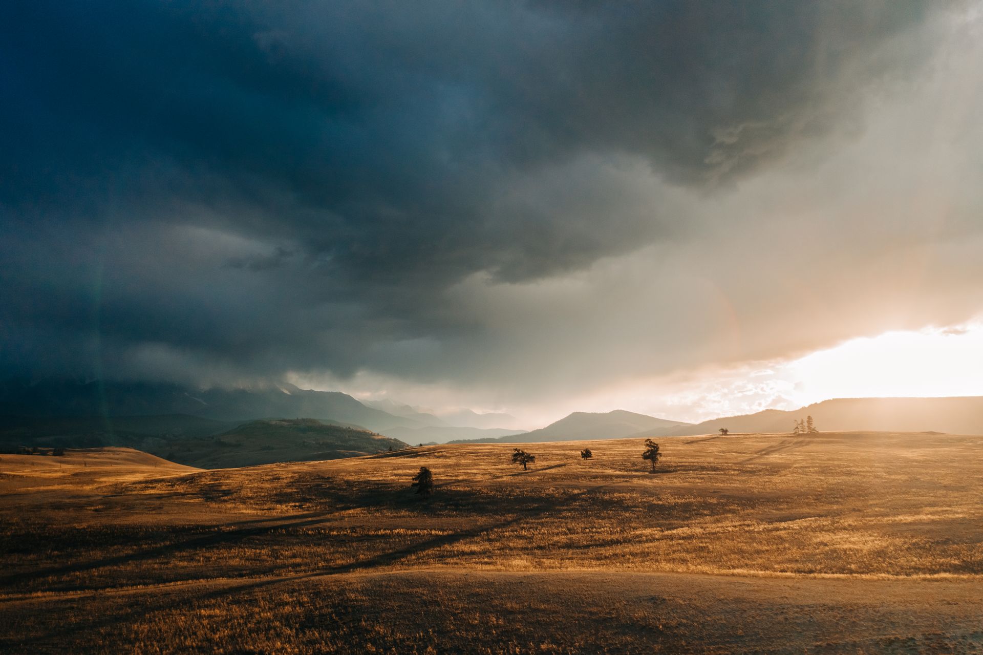 Vast fields at golden hour